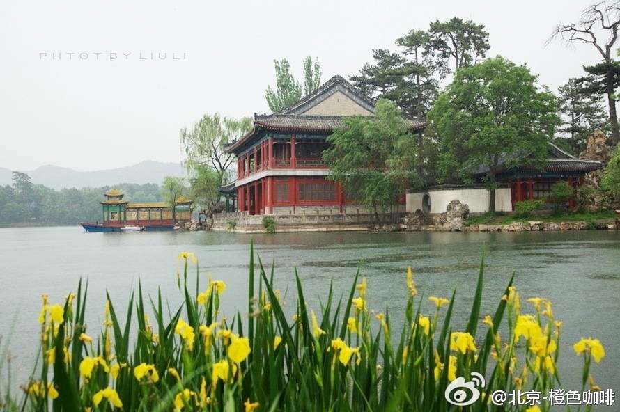 我的新浪微博老是登不上去,显示登录失败,请稍