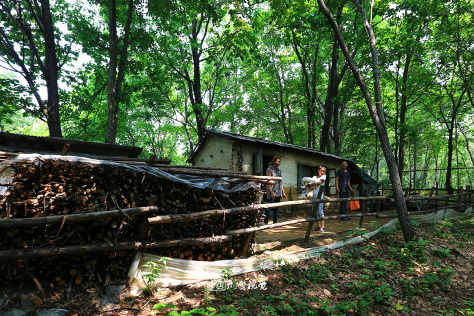 沈阳站到吉林辉南县朝阳镇怎么去-沈阳站到吉