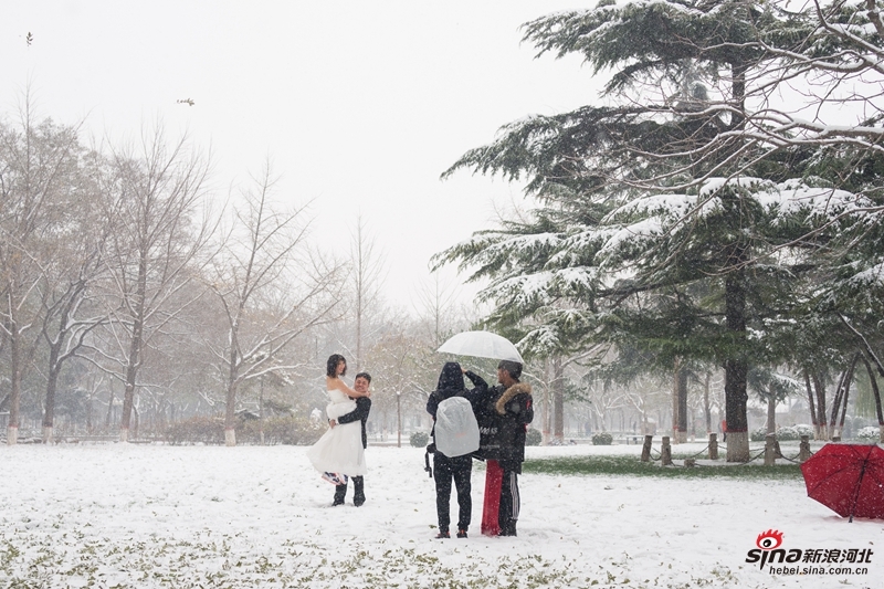 大雪婚纱_大雪纷飞图片(2)