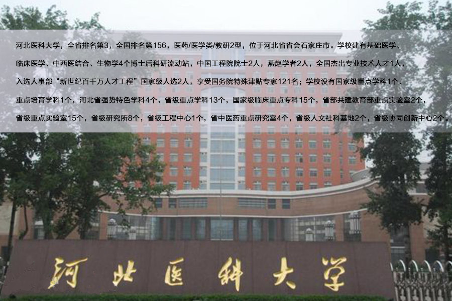 河北大学人口研究所_我院人口研究所与复旦大学 河北大学共同举办 一带一路(2)