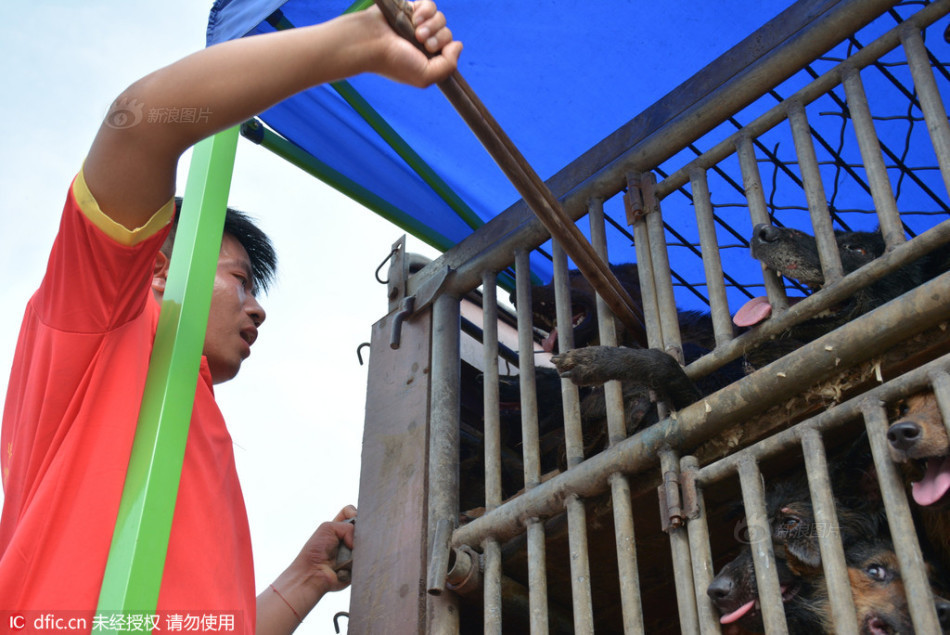 肥乡县有多少人口_肥乡县岳晓敏照片(3)
