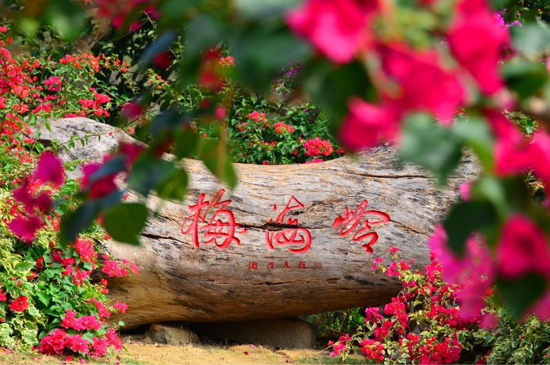 东坪山公园位于厦门岛南部山脉的中段