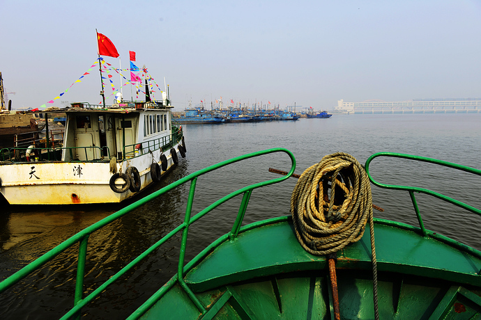 北塘渔港出海捕鱼-周末天津自驾两天计划新玩