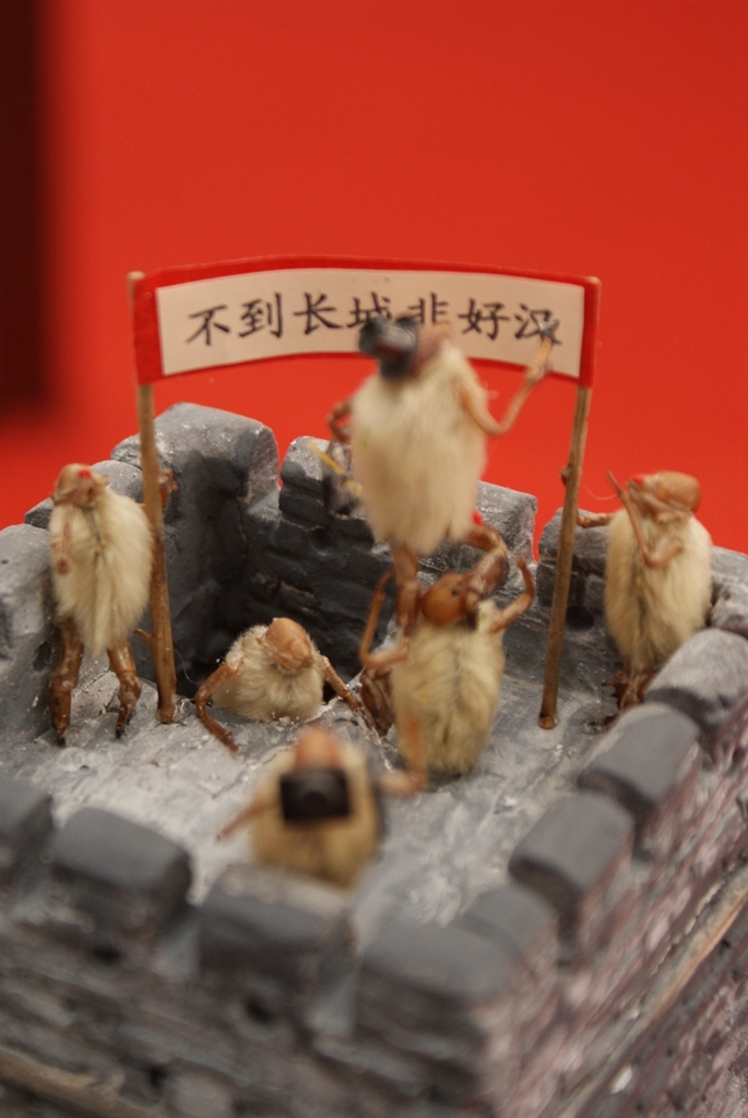 天津旅博会毛猴展览