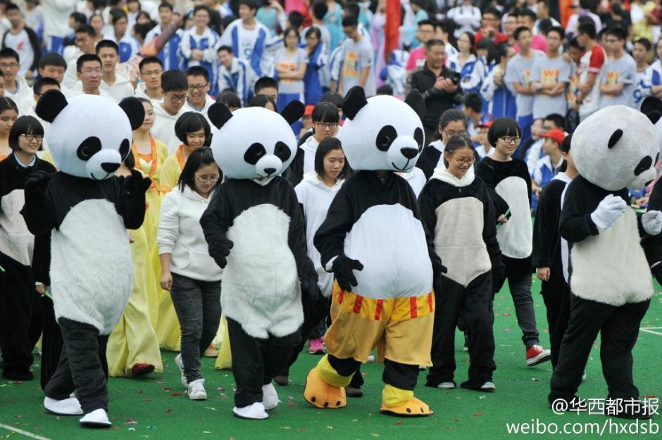 成都四中校服图片内容|成都四中校服图片版面设计