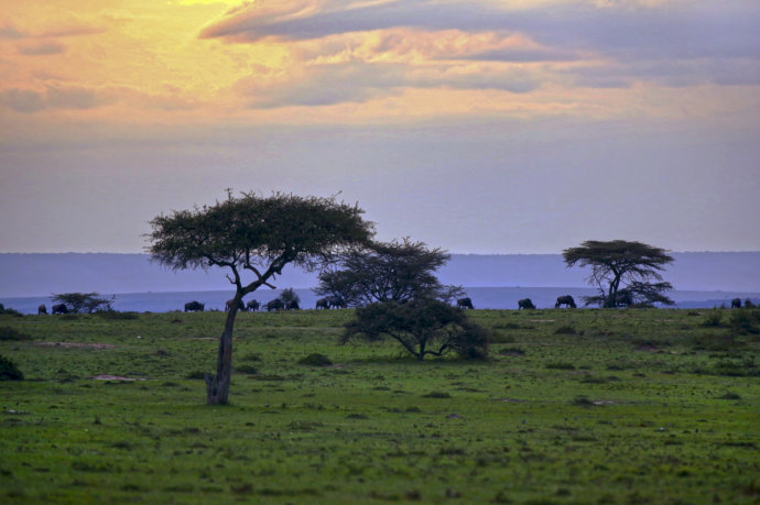 非洲超高清图片