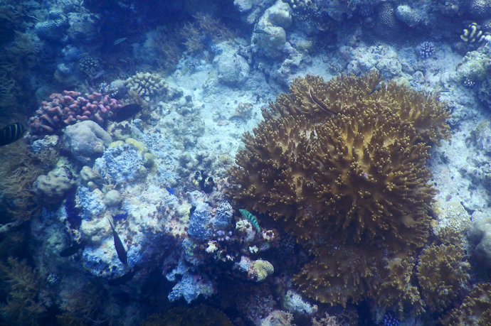 世界上著名的水族馆 33503_5024825_595169.jpg