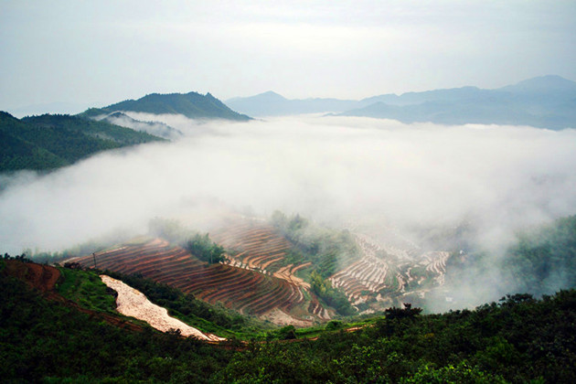 江西赣州崇义gdp_打造中国家具产业 新地标