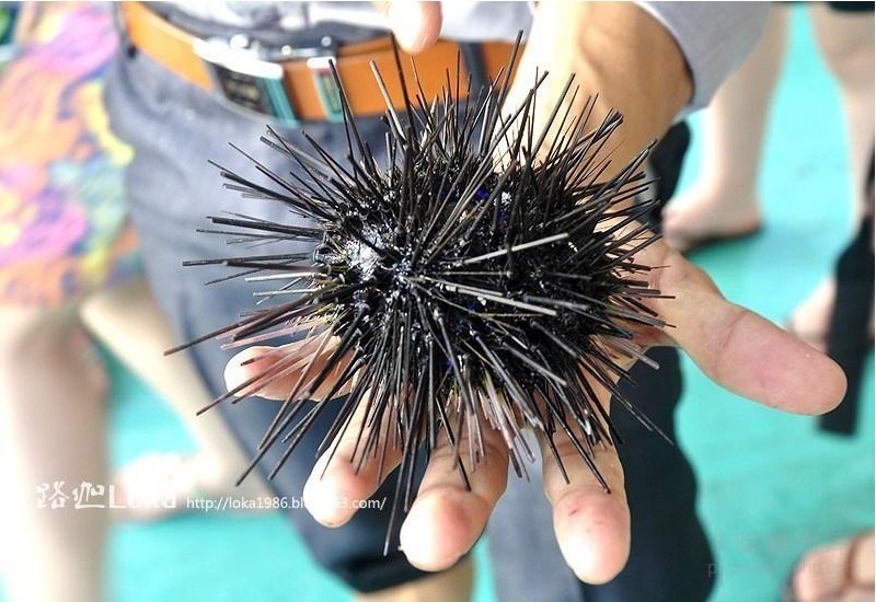 越南海鲜_海鲜图片大全_海鲜疙瘩汤(3)