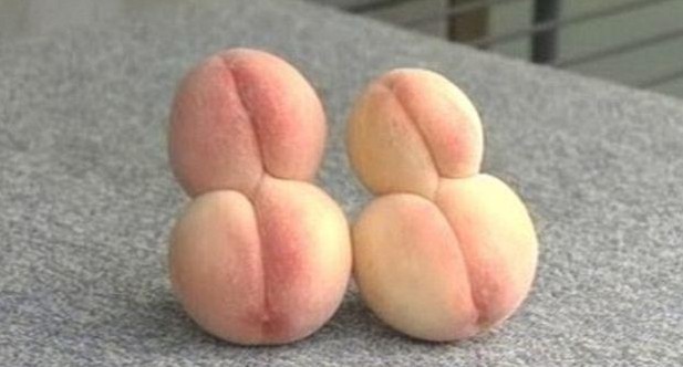 福岛人口数_福岛核电站(2)