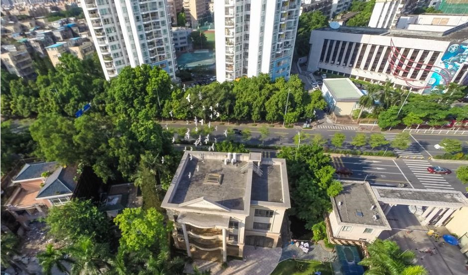 图为王林在深圳怡景花园的别墅豪宅航拍图。