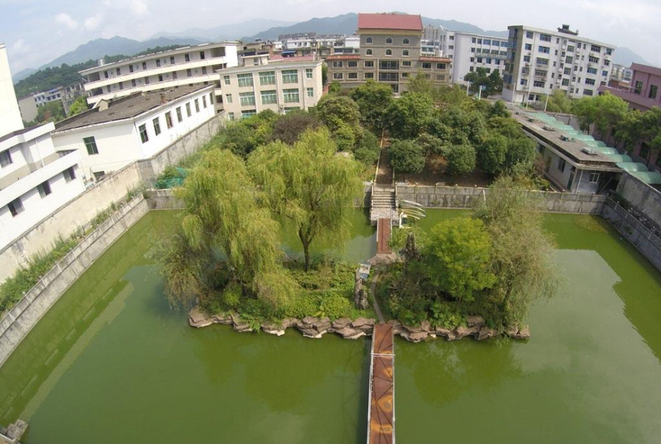 王林“王府”占地近1亩内设门楼后花园