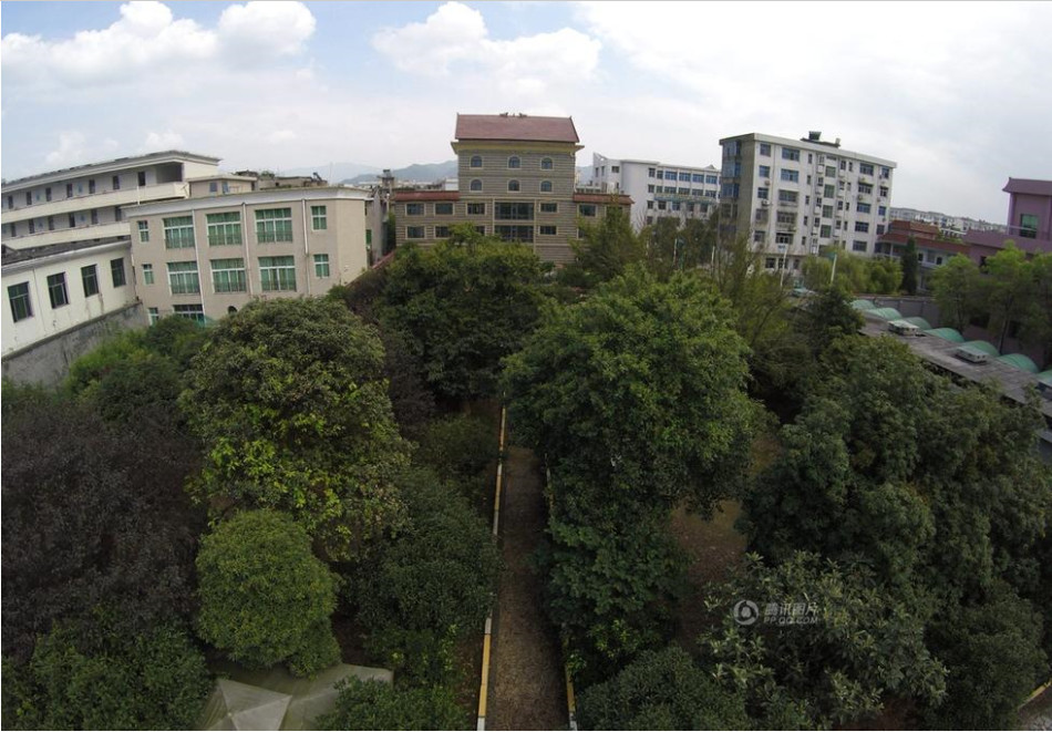 王林“王府”占地近1亩内设门楼后花园