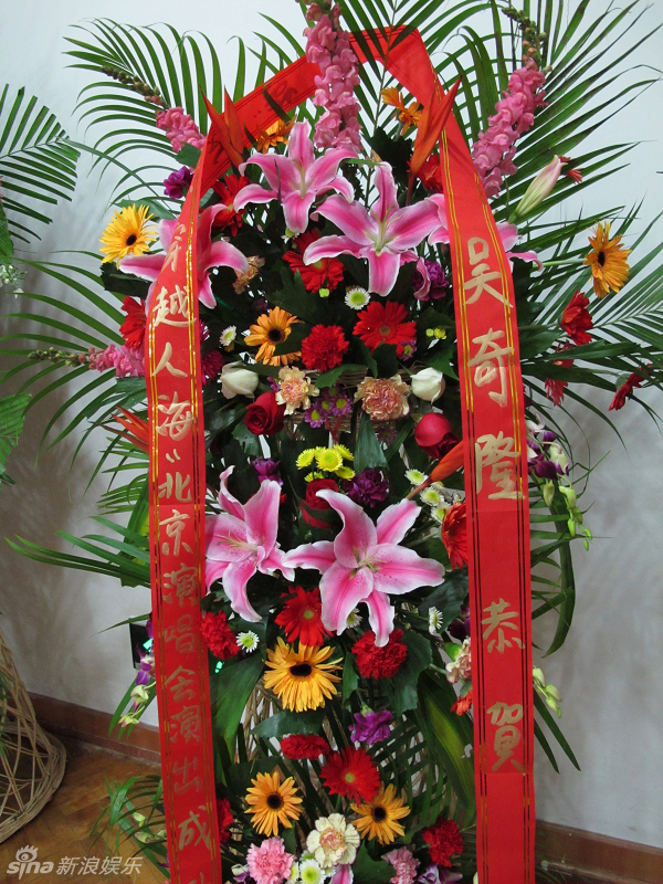 歌曲谱花篮花箱_开业花篮图片(2)