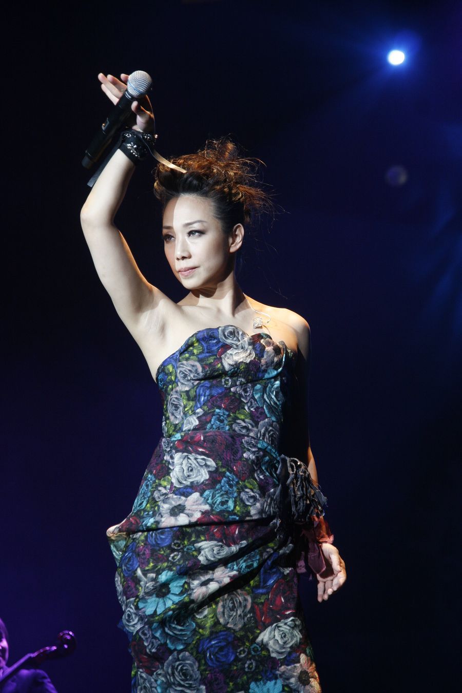 林忆莲2010上海演唱会