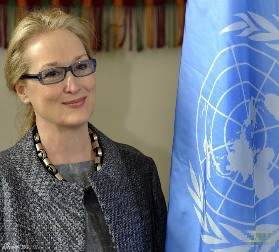 图:梅丽尔-斯特里普联合国呼吁<em>维护女性权益</em> -