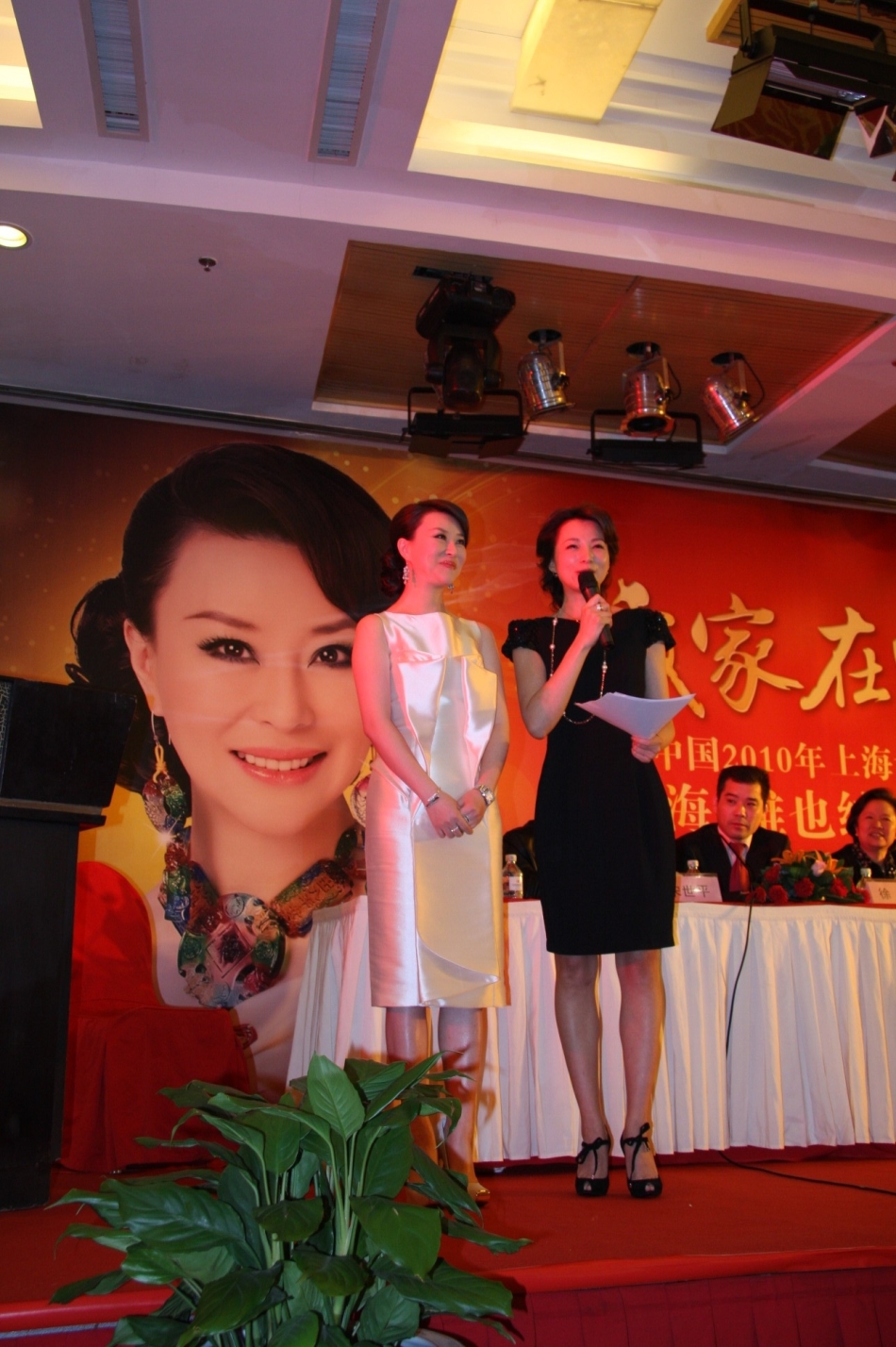 董卿 