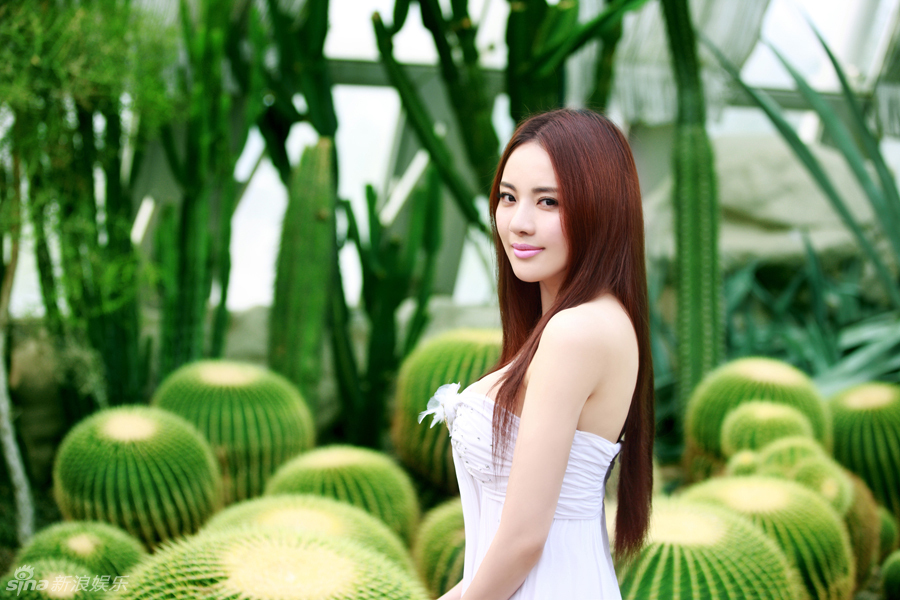 女星孟茜恬静的仙子