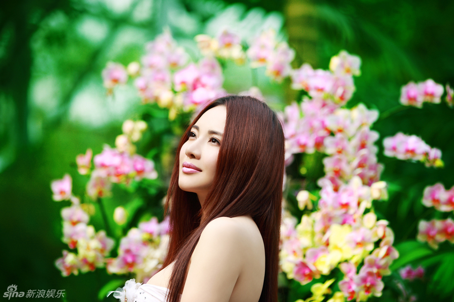 女星孟茜犹如花中仙子