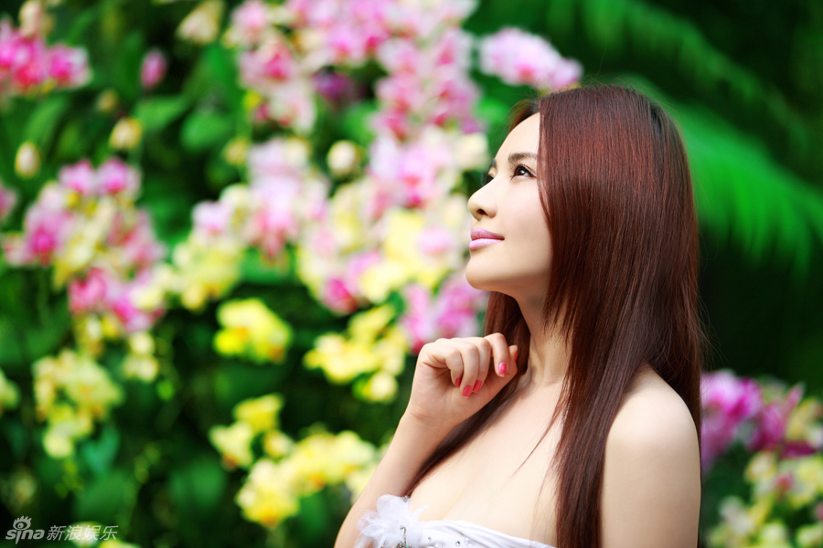 女星孟茜置身花海
