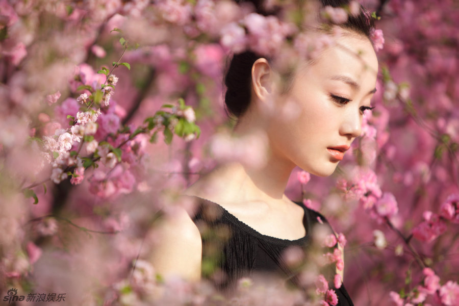 美人如画