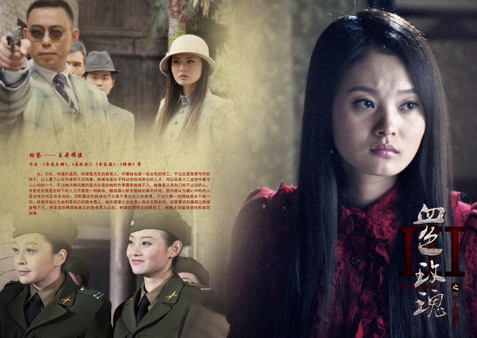 刘小锋,于震,沈晓海,侯传杲等主演的电视剧《血色玫瑰之女子特遣队》
