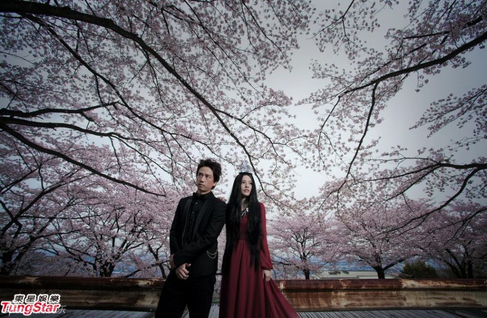 红黑婚纱照_婚纱照风格