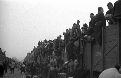 点击图片查看详情 一九四二年河南人口_1942年,河南大灾荒饿死300万人