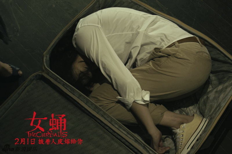 女蛹 新浪网