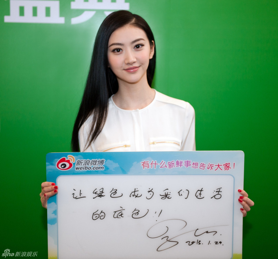 2013年中国环保大使景甜