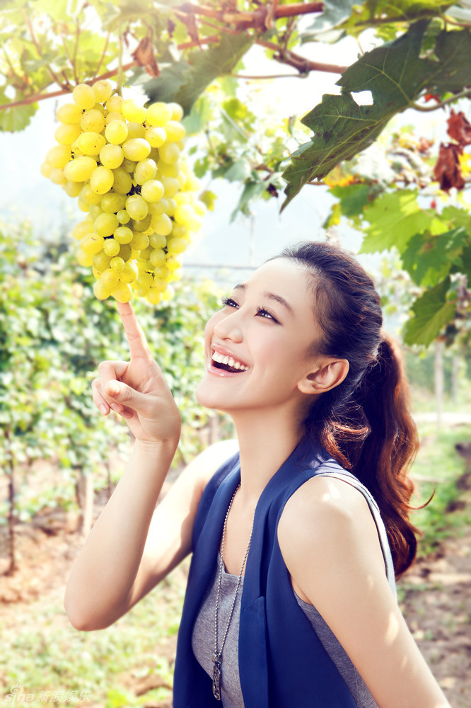 曾泳醍庄园摘葡萄