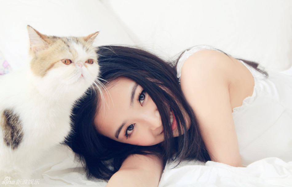 张含韵和宠物猫