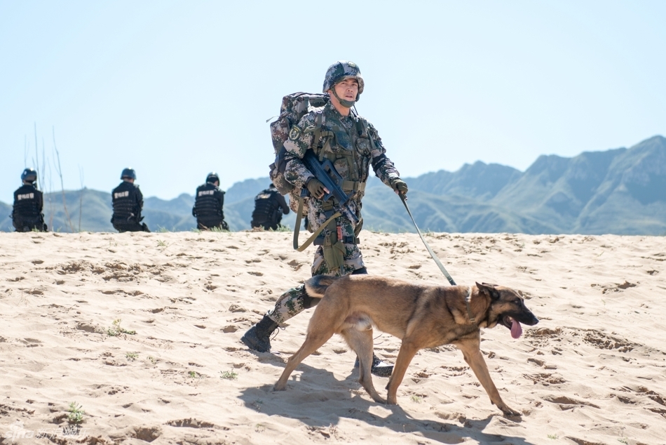组图《神犬奇兵》曝剧照 杨烁化身神犬训练师_高清图集_新浪网