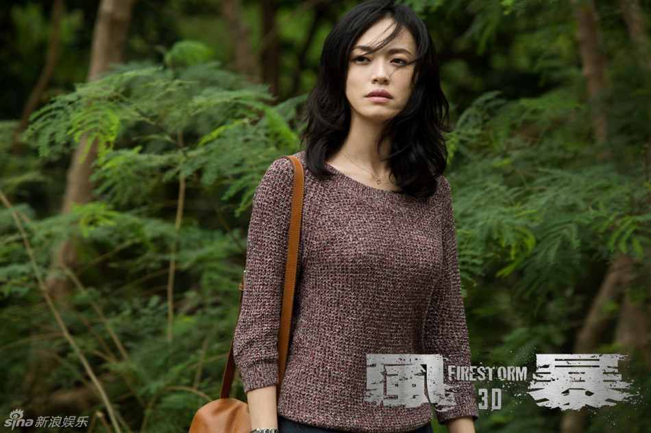 姚晨2013蜕变:人生新篇章事业新高度(图)_高清图集