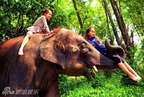 组图:现实版雨林精灵 美丽姐妹花守护西双版纳