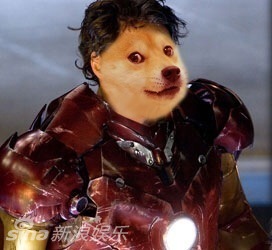 柴狗表情包_qq小黄狗表情包_我的狗眼 表情包_亮瞎狗 ...