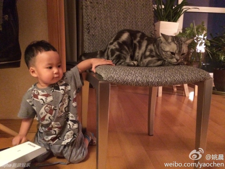 拉姆塞死亡定律-乐鱼app(leyu)官方网站-乐鱼官网