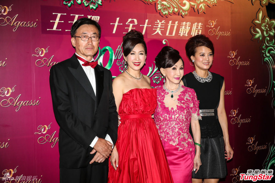 组图:王玉环入行20年庆祝晚宴 众星到场祝福