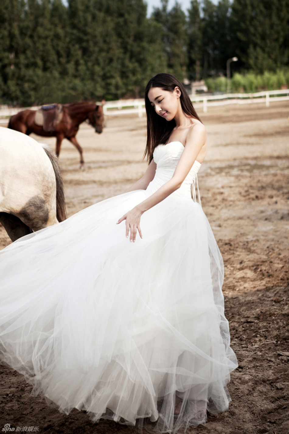 婚纱写真个人_婚纱写真