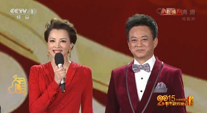 组图:朱军董卿领衔羊年央视春晚六主持人亮相_娱情速递_温州网