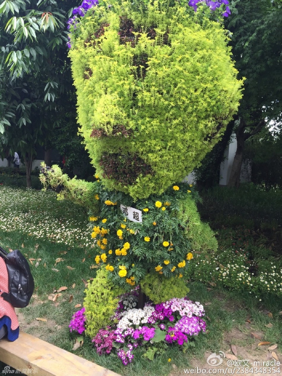 组图:花草版跑男亮相杭州 成员变植物超雷-花
