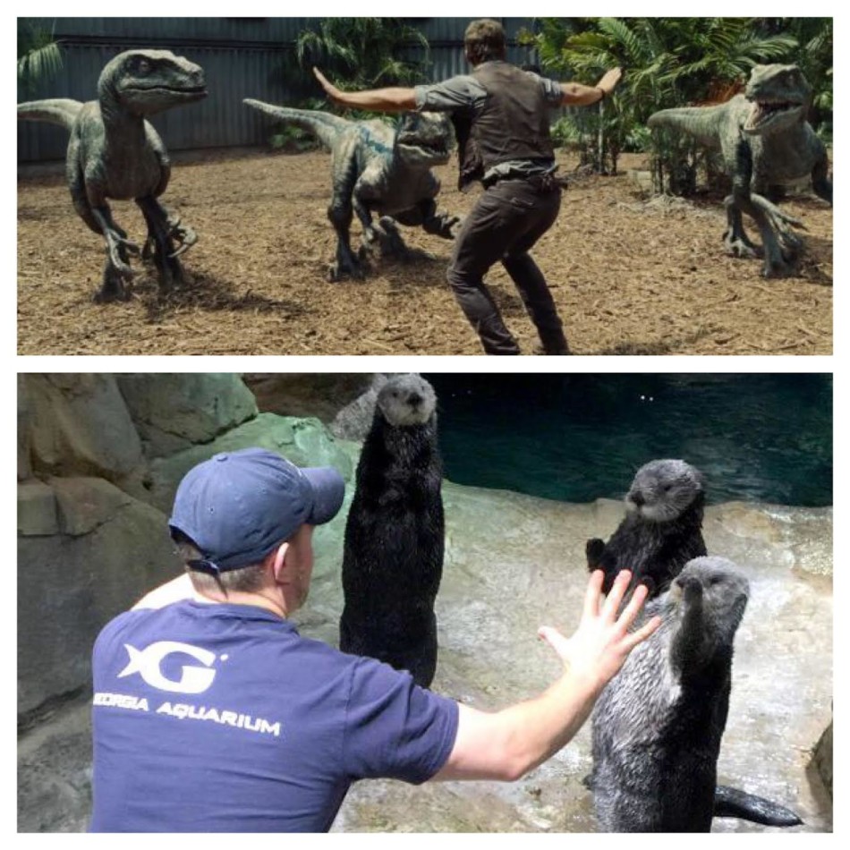 图片:笑哭!全球动物饲养员仿照《侏罗纪世界》 - 娱乐明星 - 黔南在线-黔南论坛