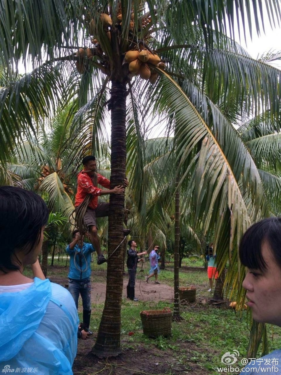 组图:谢霆锋林峰陈伟霆聚首 英皇三哥变帅厨男
