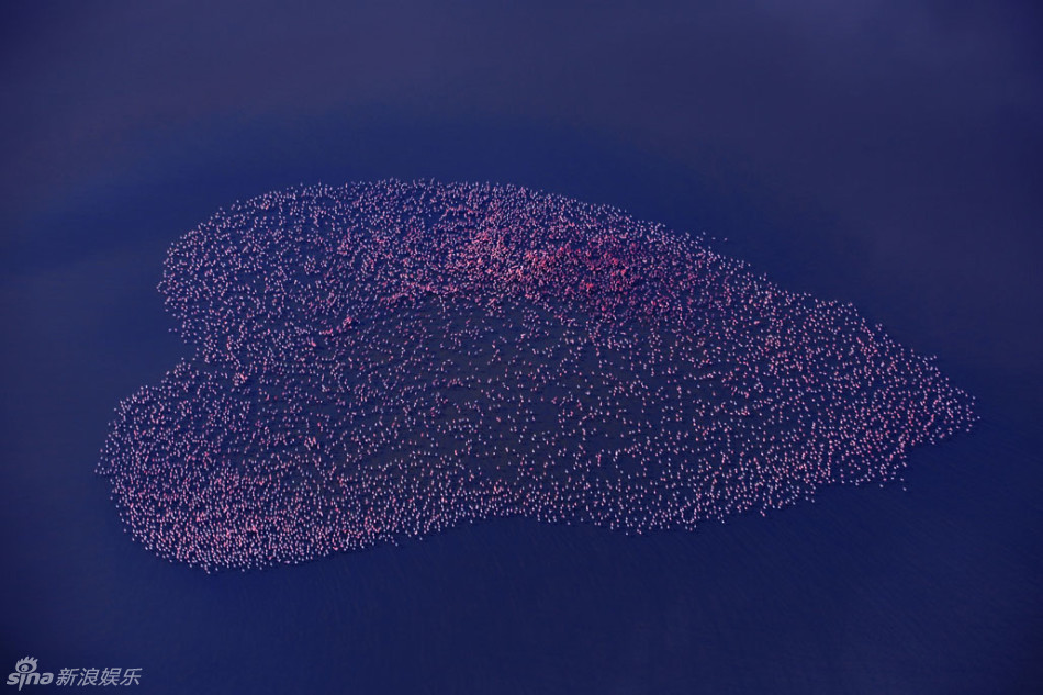 组图:江一燕以爱为名 将办公益摄影展