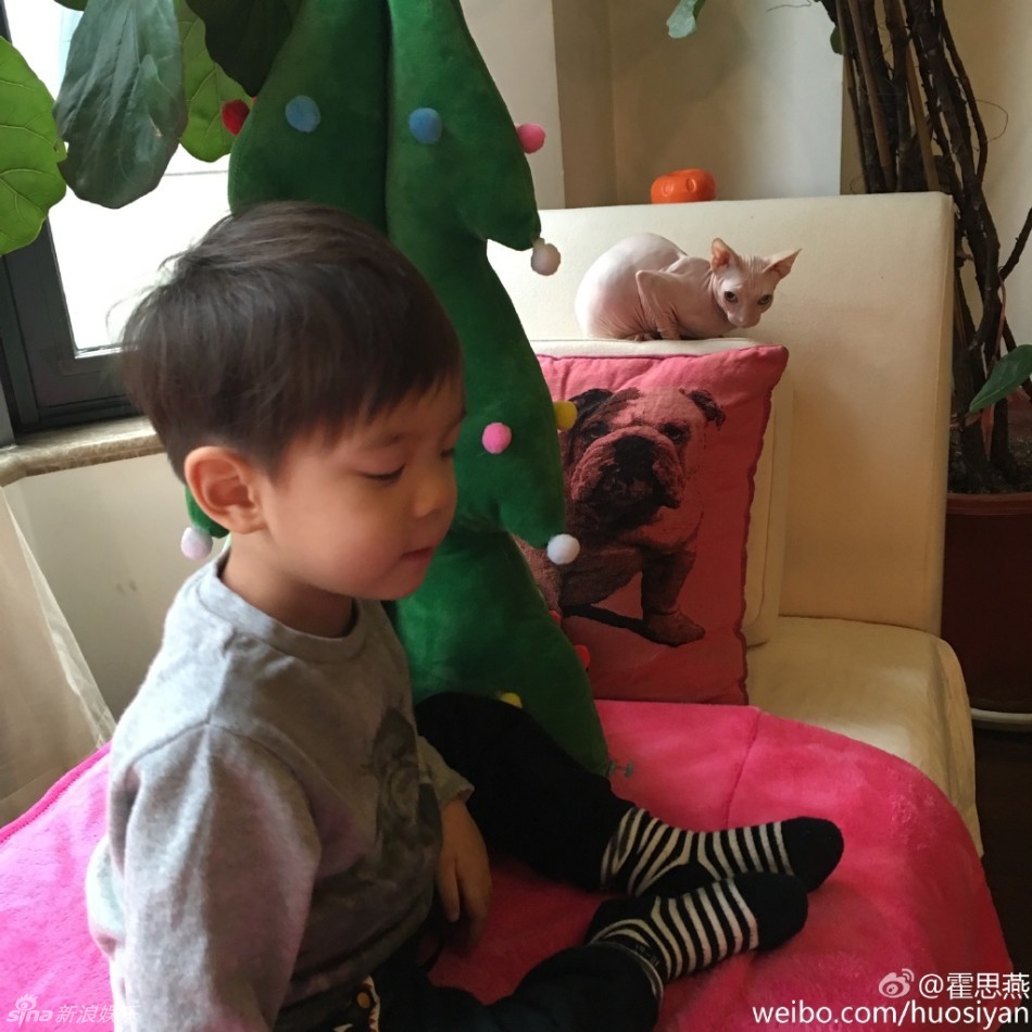 组图:霍思燕携嗯哼赏猫 无毛猫光体酷似被扒皮