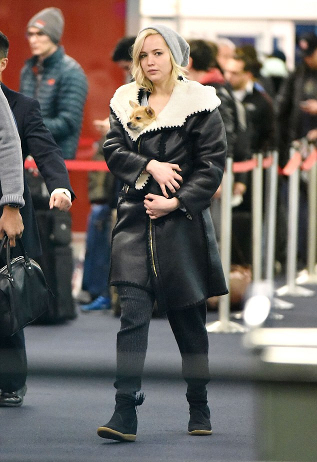 卡兹克隐藏任务-乐鱼app(leyu)官方网站-乐鱼官网