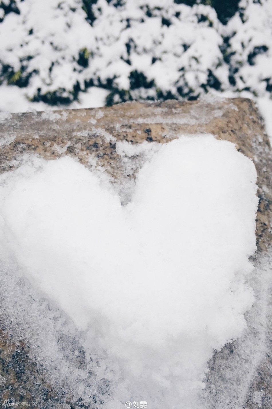 组图:刘雯置身雪地人美如画 堆爱心笑容幸福_高清图集_新浪网