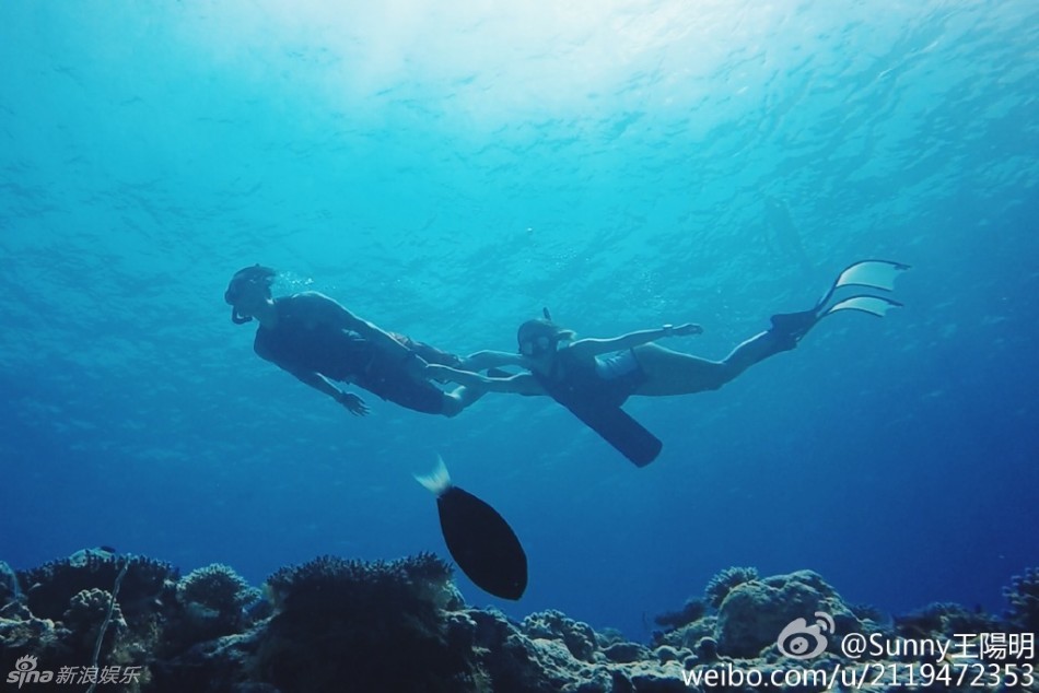 组图：蔡诗芸穿比基尼身材傲人 酥乳翘臀超性感