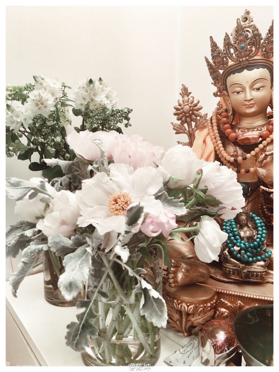 都市一时间直播-乐鱼app(leyu)官方网站-乐鱼官网