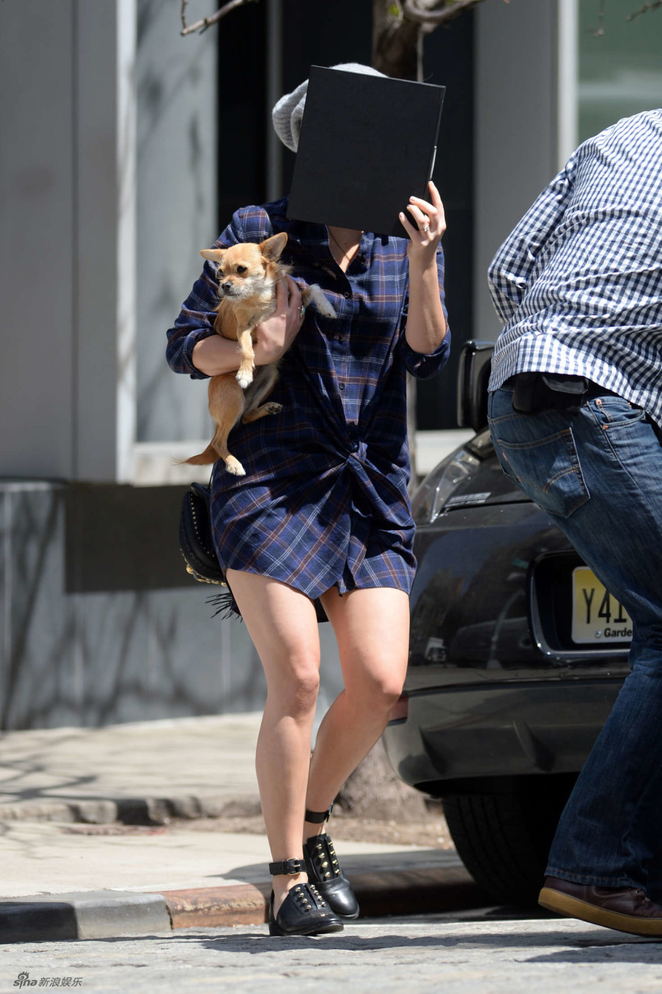 组图:大表姐劳伦斯抱宠物狗现身 举文件夹遮脸